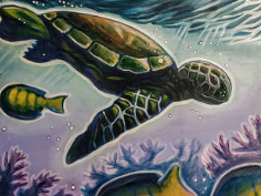 Honu Surf