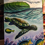 Honu Surf