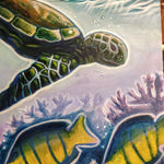 Honu Surf