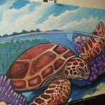 Honu Reef